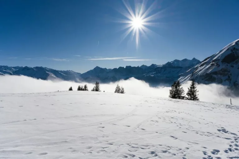 Sonnenschutz-im-Winter-1024x683